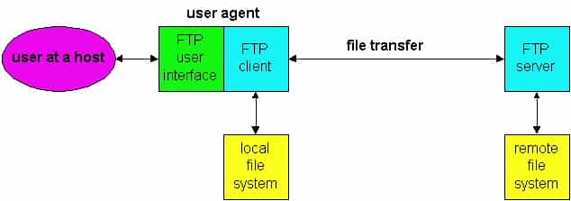 FTP moves files between local and remote file systems.